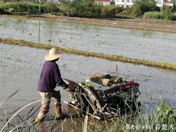 猎豹浏览器截图20210104155345.png