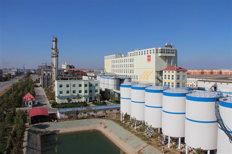 http://nync.shandong.gov.cn/xwzx/dfdt/202012/W020201230595927095035.jpg