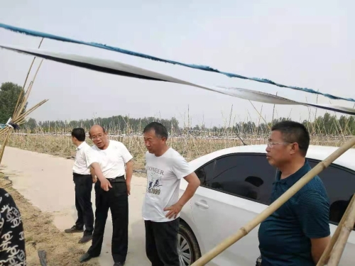 http://nync.shandong.gov.cn/xwzx/dfdt/202106/W020210615777448765244.jpg