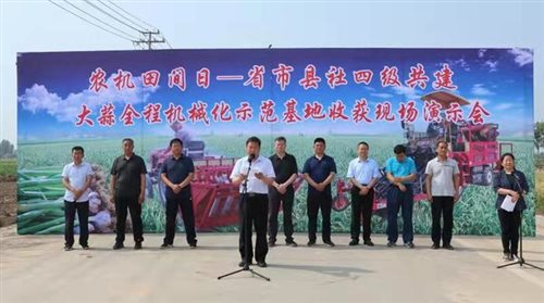 0603大蒜现场会.jpg