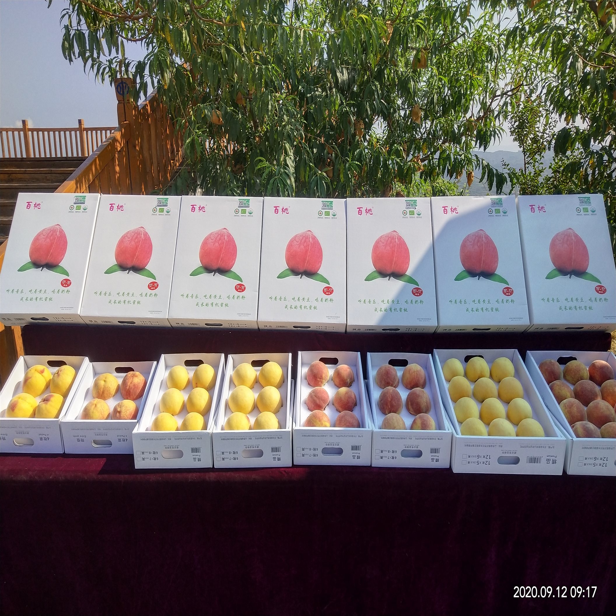 http://nync.shandong.gov.cn/xwzx/dfdt/202108/W020210826591036731509.jpg